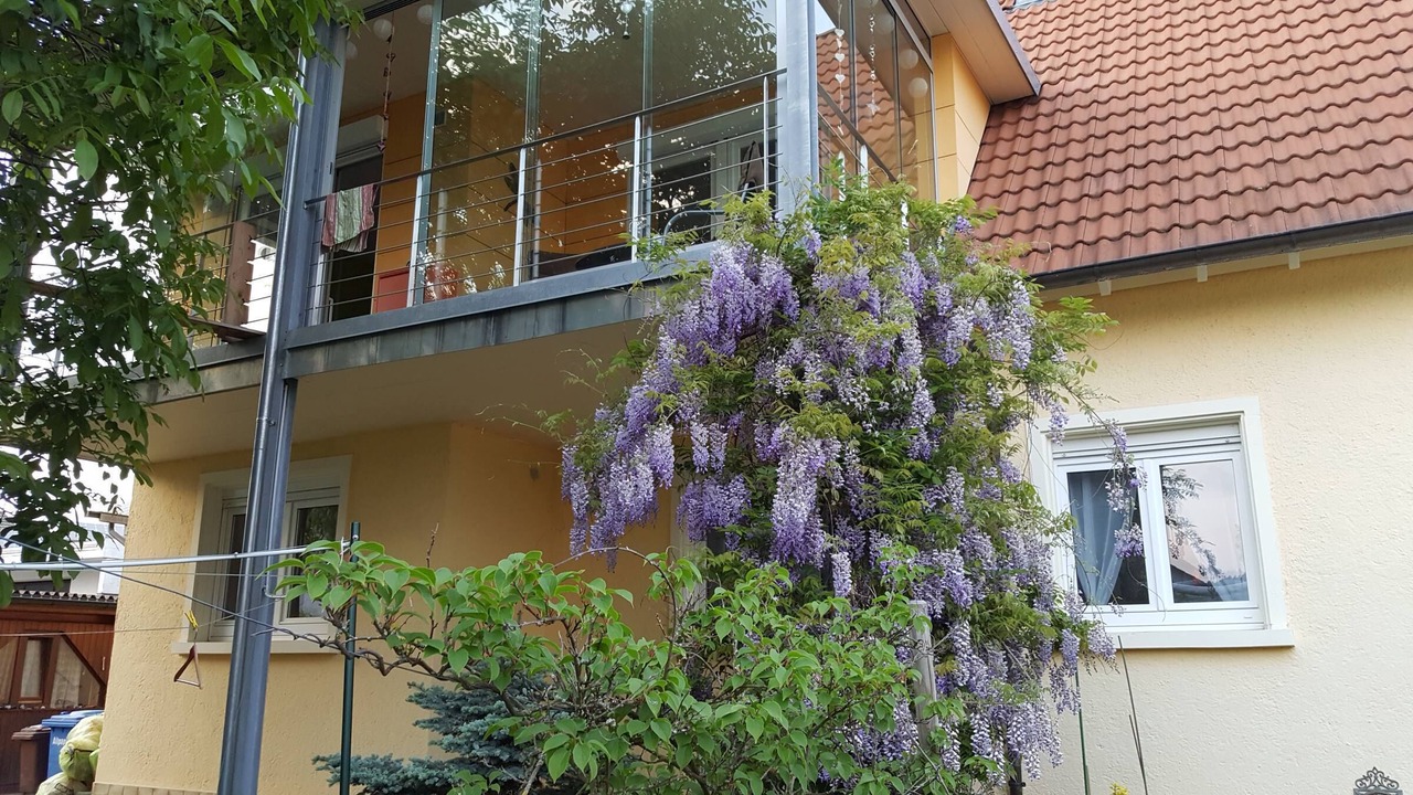 Photo of Outdoor in Steisslingen