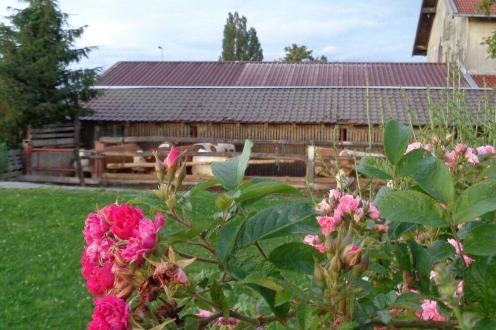 Photo of Outdoor in Schoenau