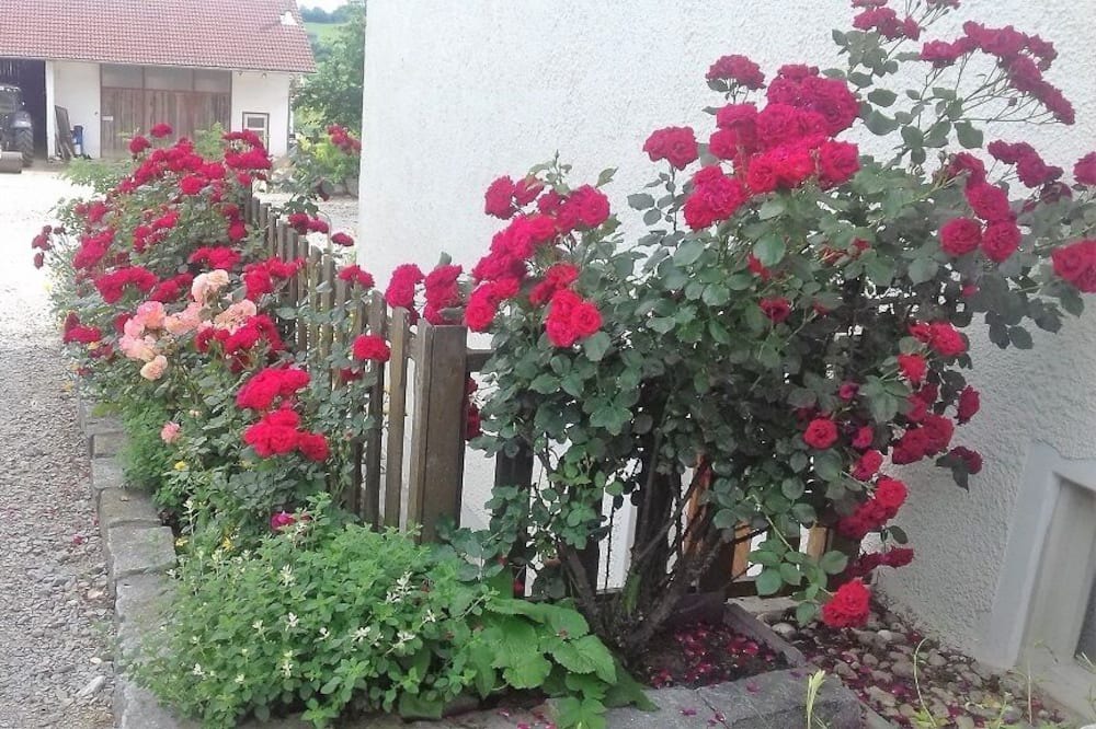 Photo of Outdoor in Schoenau