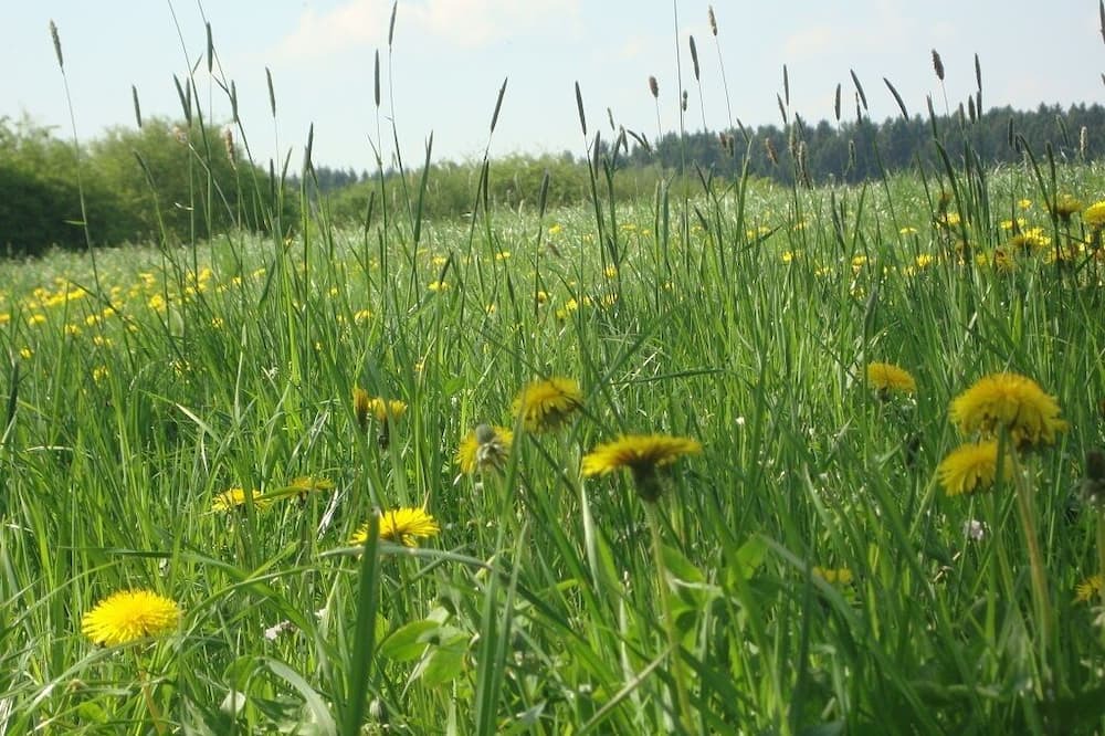 Photo of Outdoor in Schoenau