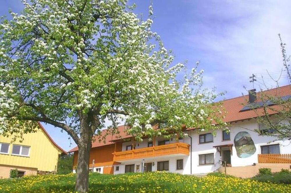 Photo of Others in Deggenhausertal