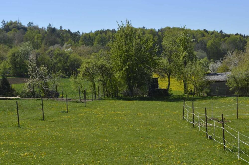 Photo of Outdoor in Egloffstein