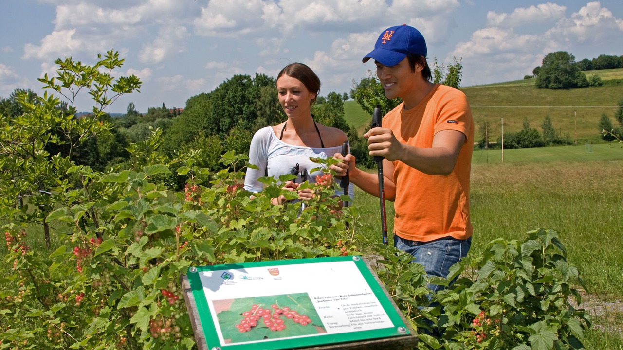 Photo of Outdoor in Stamsried