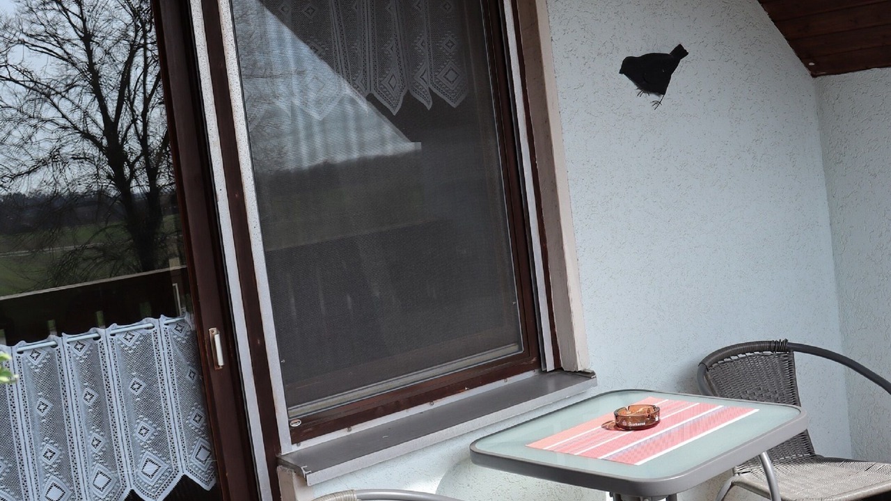 Photo of Patio Balcony in Windelsbach
