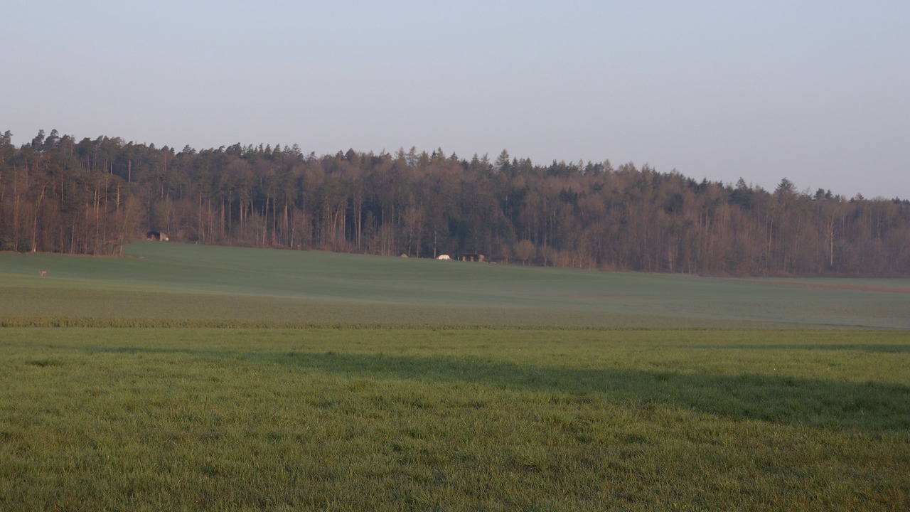 Photo of Outdoor in Windelsbach