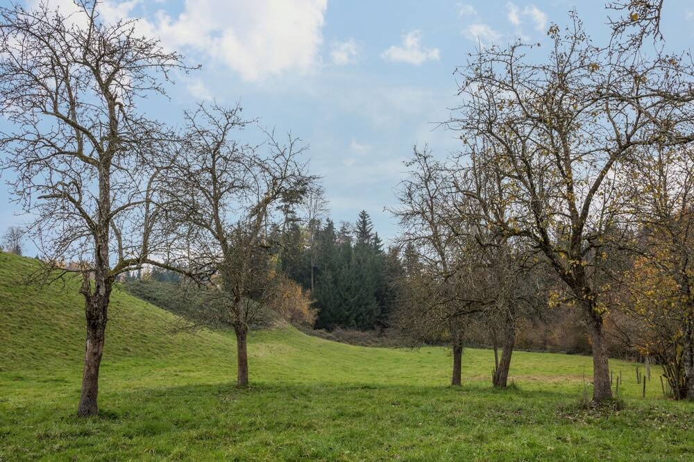 Photo of Outdoor in Lindau