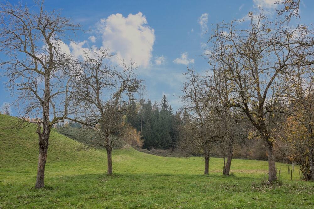 Photo of Outdoor in Lindau