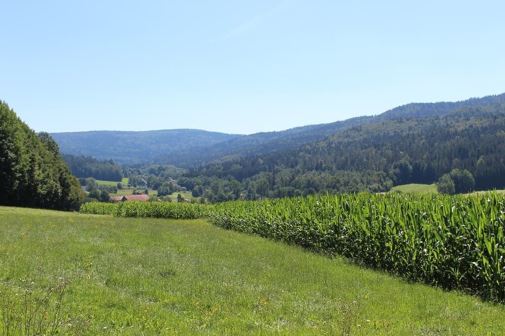 Photo of Outdoor in Waldmuenchen