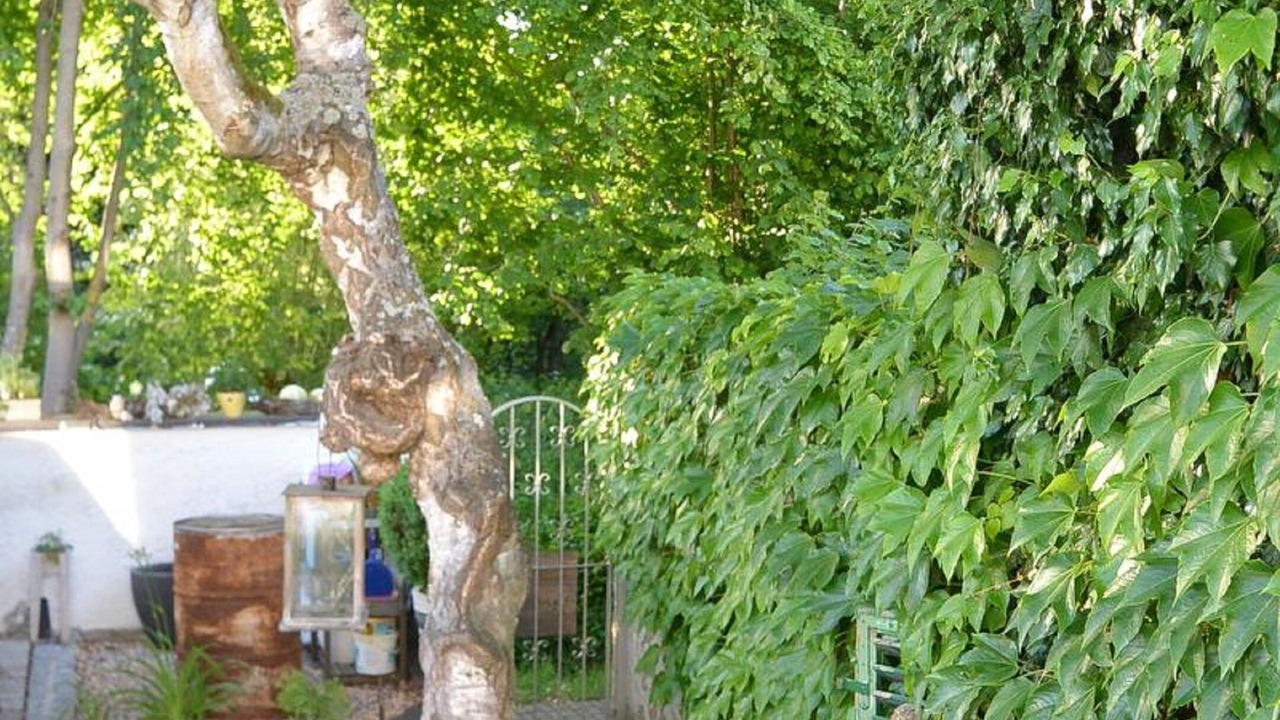 Photo of Outdoor in Volkach
