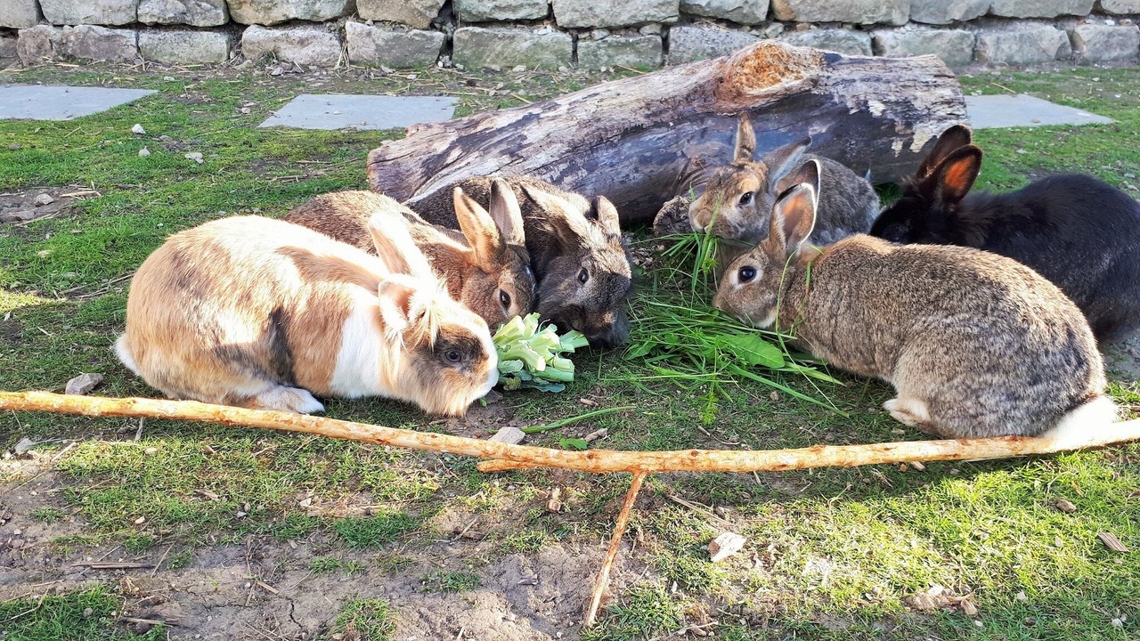 Photo of Outdoor in Weissenburg in Bayern