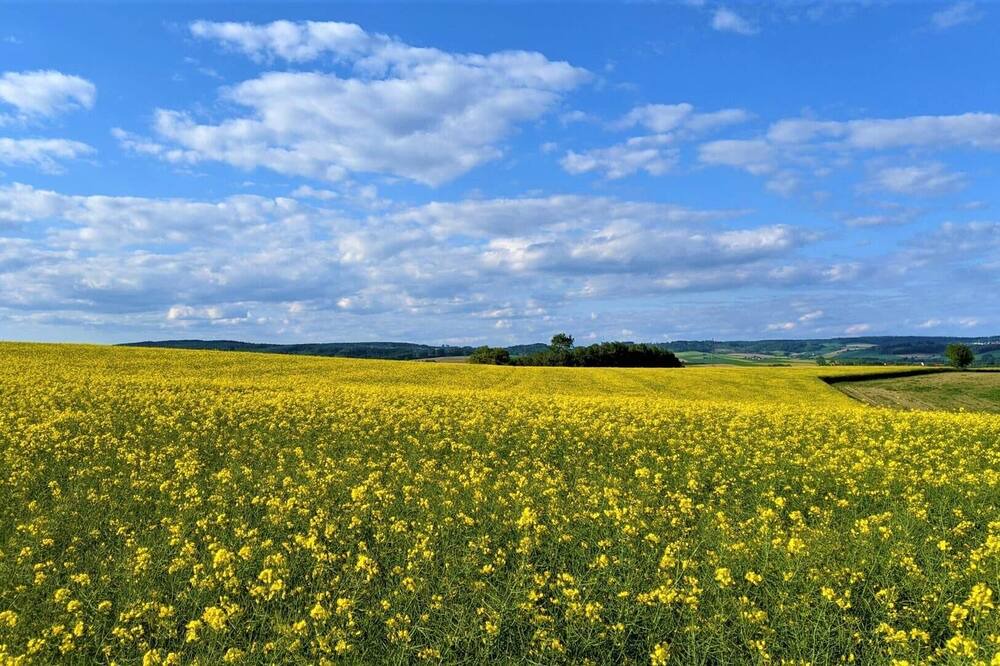 Photo of Others in Hartkirchen