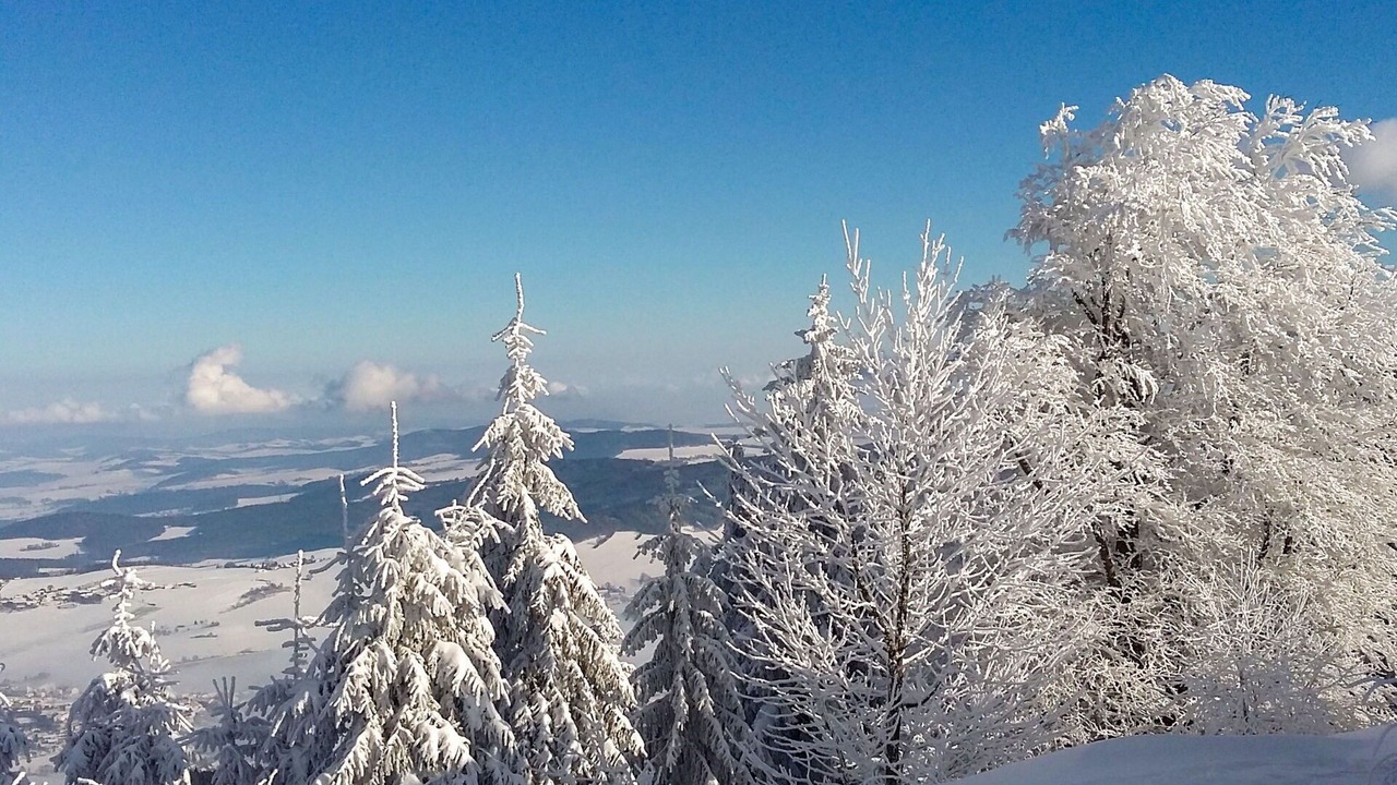 Photo of Outdoor in Hohenwarth