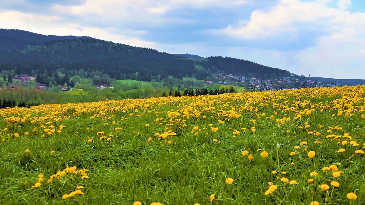 Photo of Outdoor in Hohenwarth