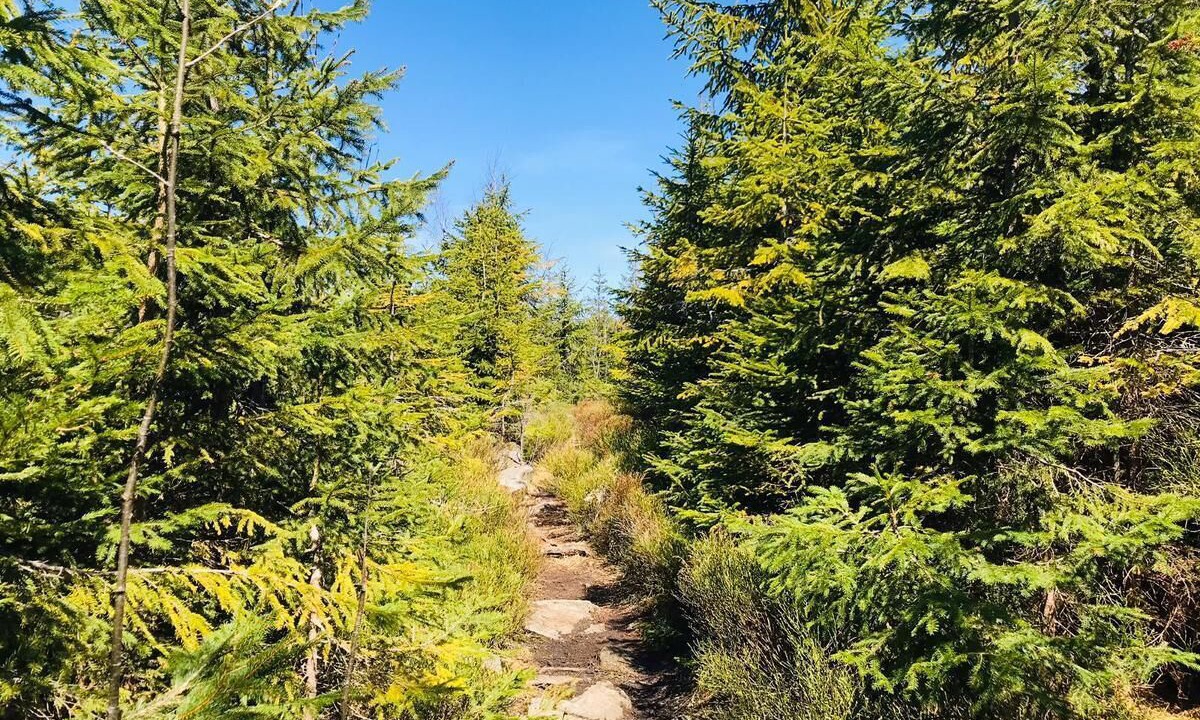 Photo of Outdoor in Freyung