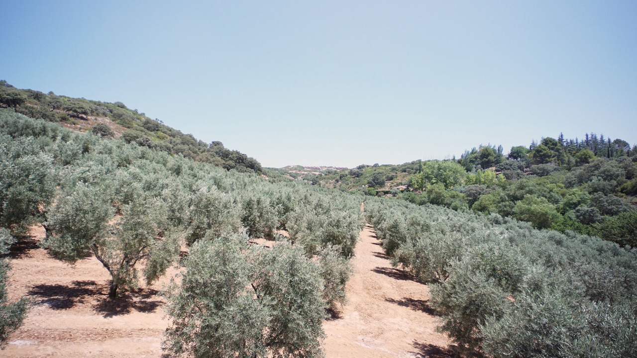 Photo of Outdoor in Villanueva del Rosario
