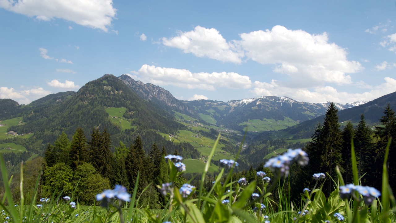 Photo of Others in Reith im Alpbachtal