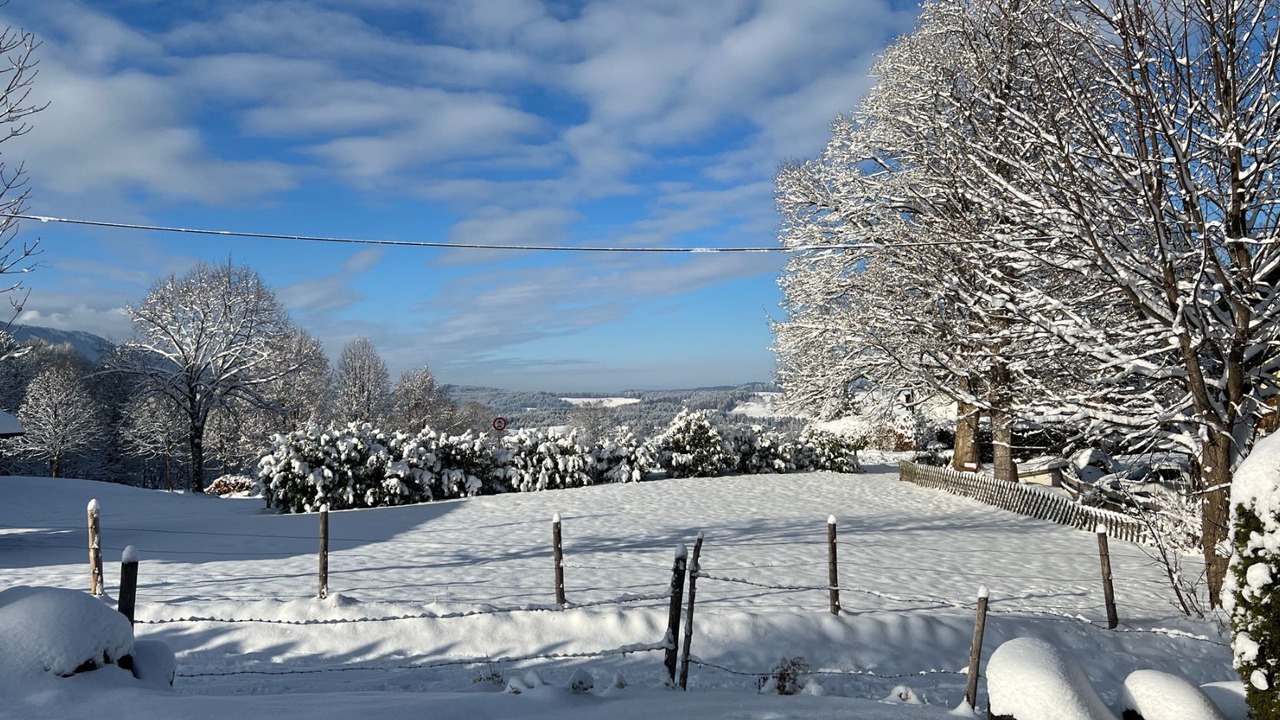 Photo of Outdoor in Sonnen