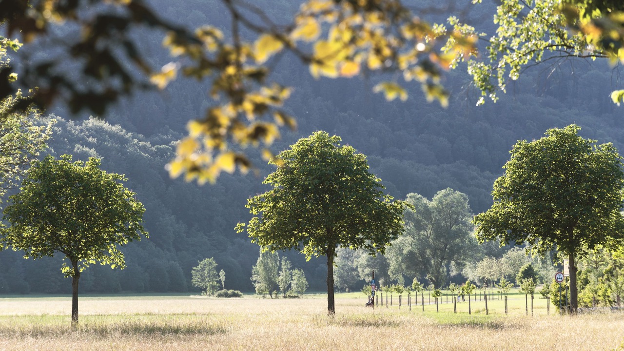 Photo of Outdoor in Bad Bocklet