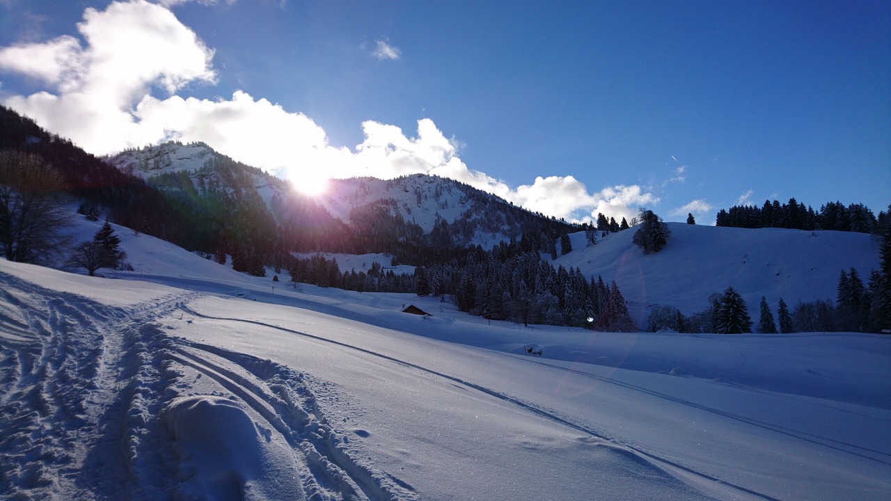 Photo of Others in Oberstaufen