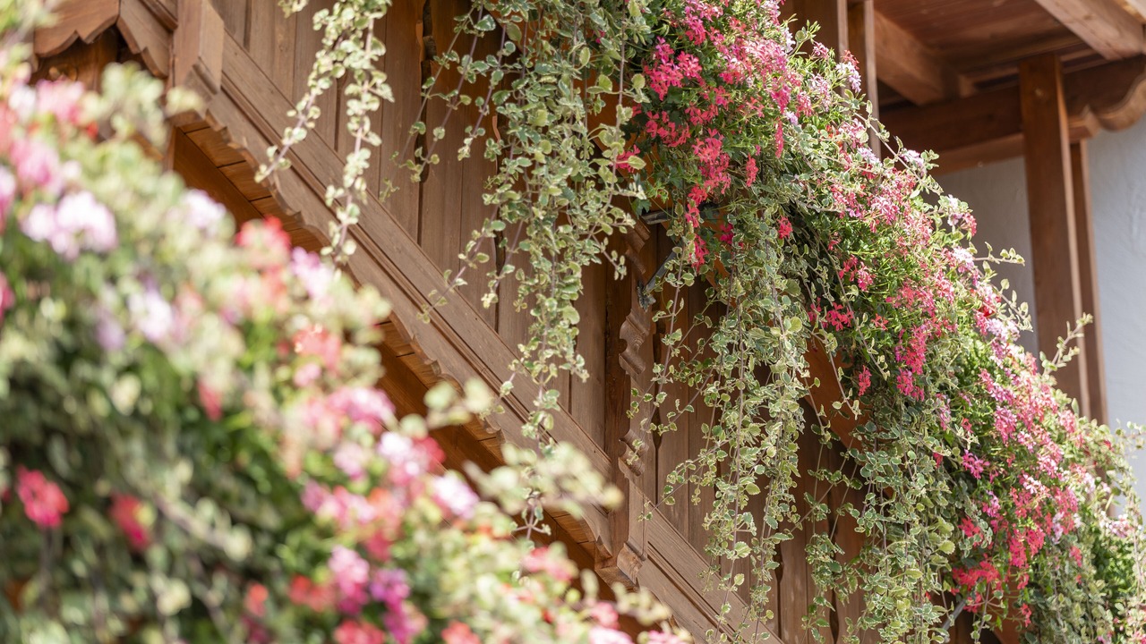 Photo of Outdoor in Oberammergau