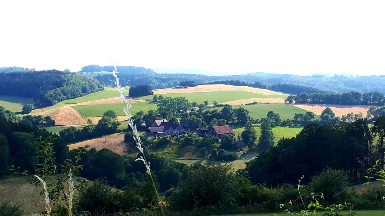 Photo of Outdoor in Muschede