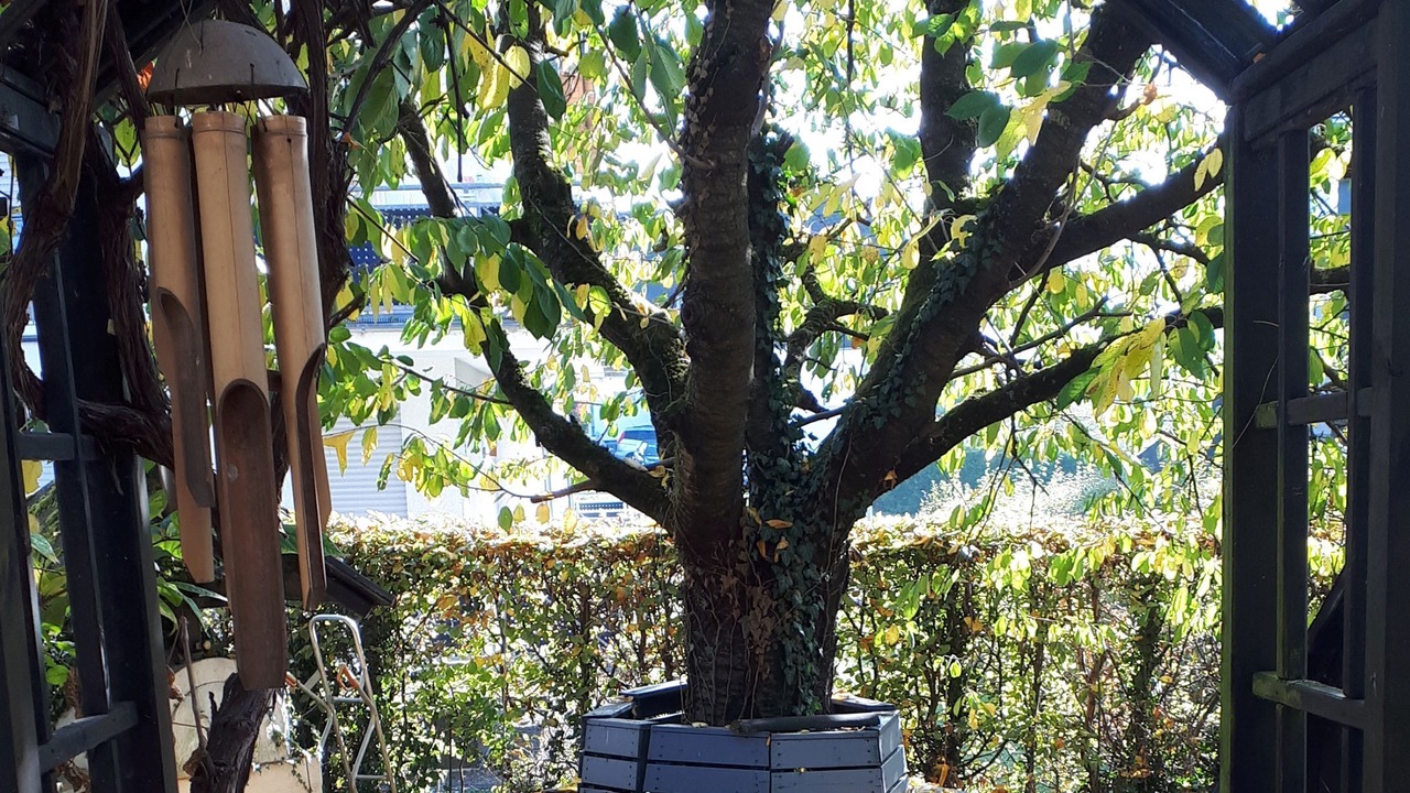Photo of Outdoor in Muschede