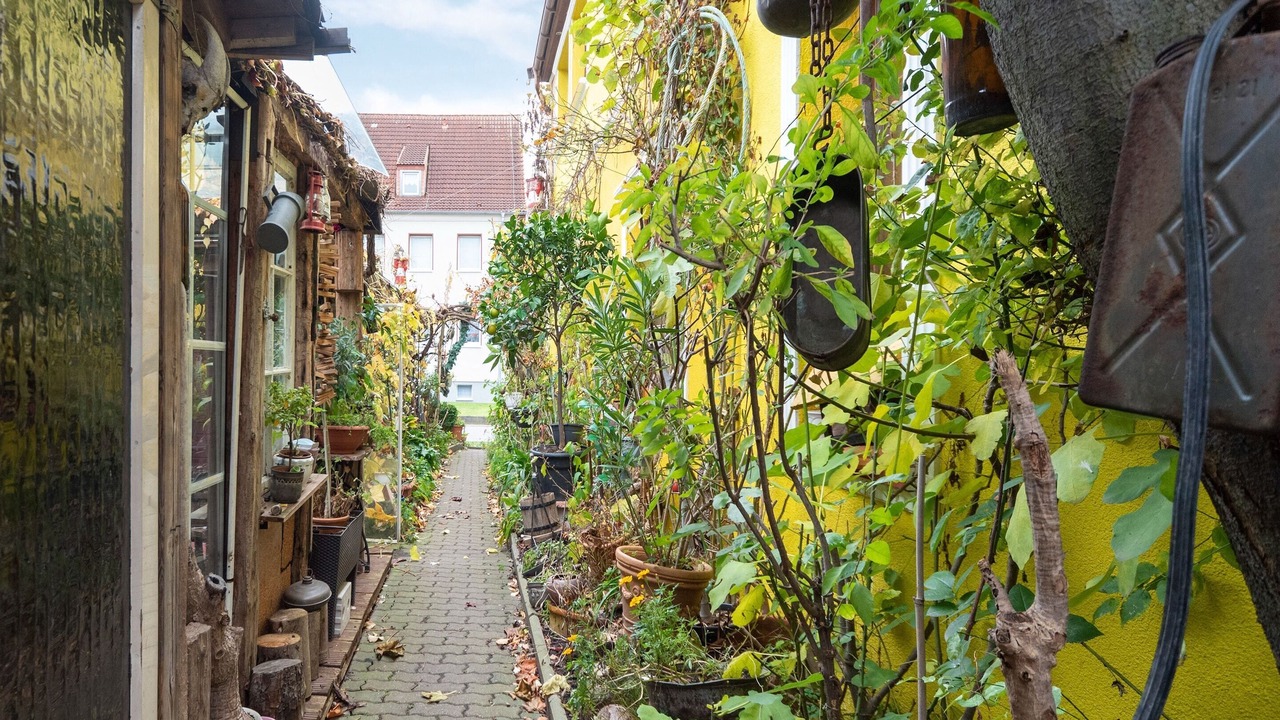 Photo of Outdoor in Wismar