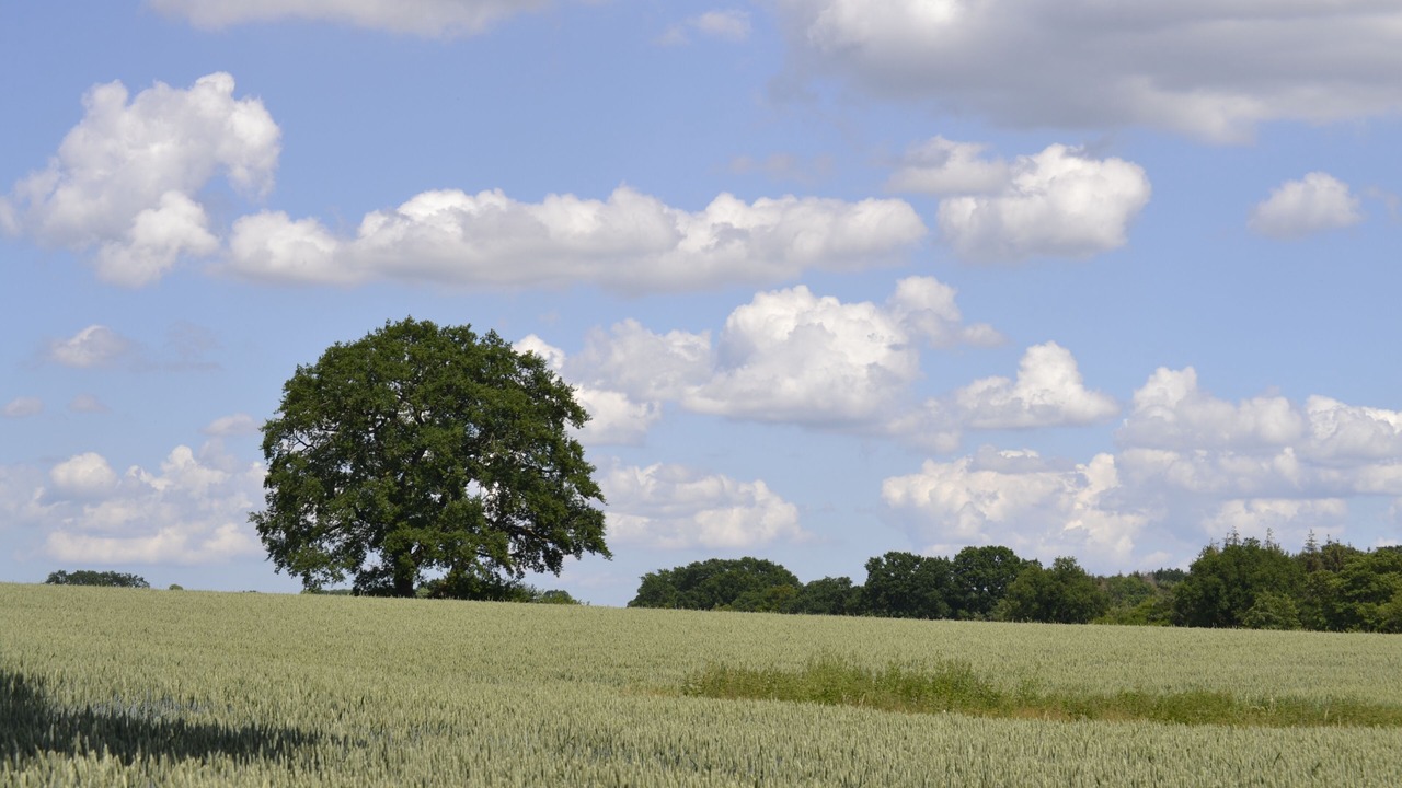 Photo of Others in Horst