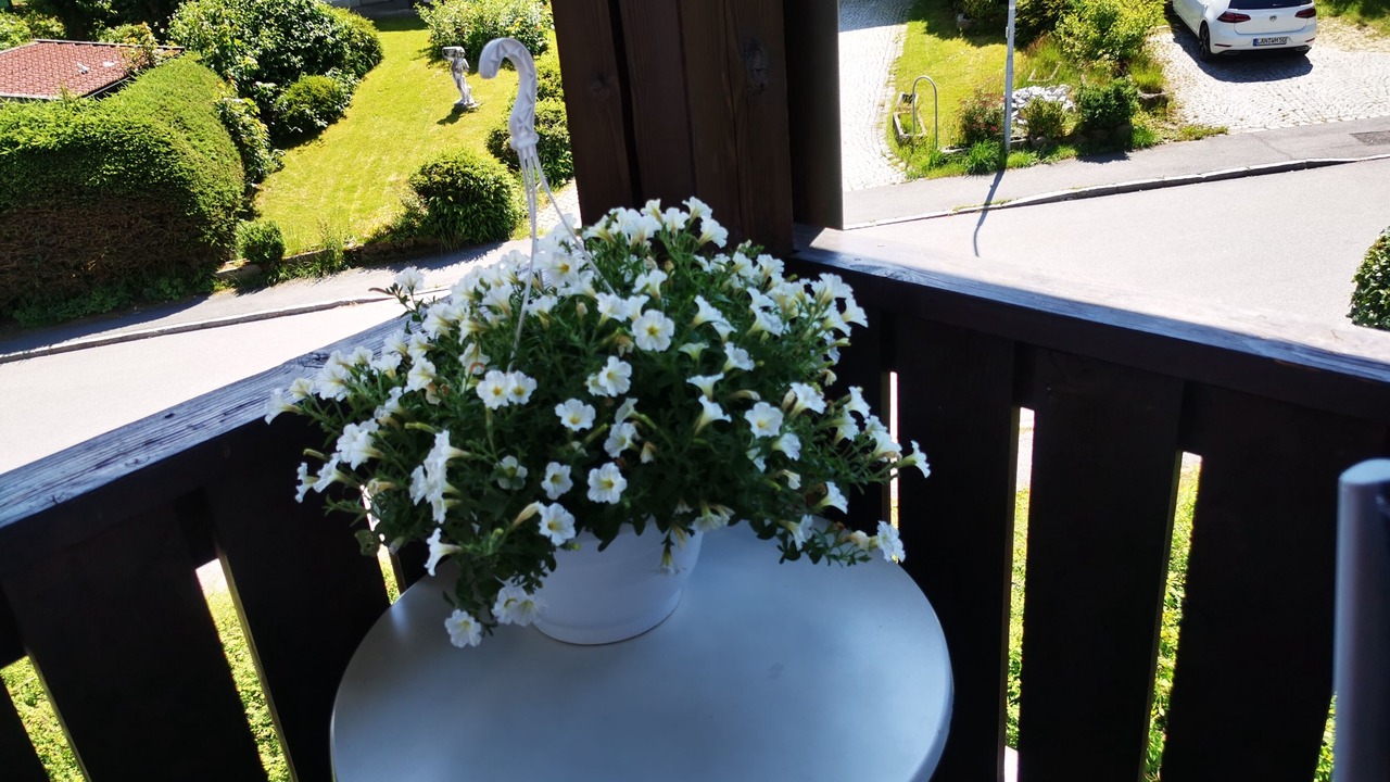 Photo of Outdoor in Zwiesel
