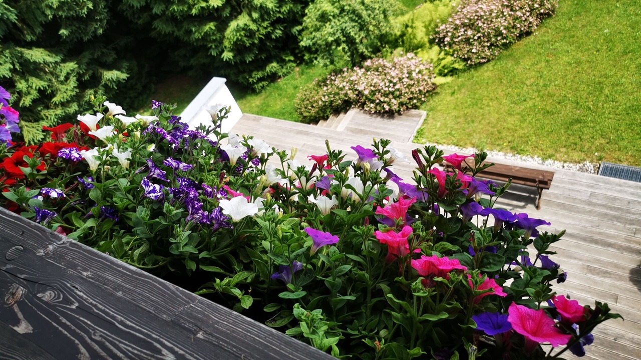 Photo of Outdoor in Zwiesel