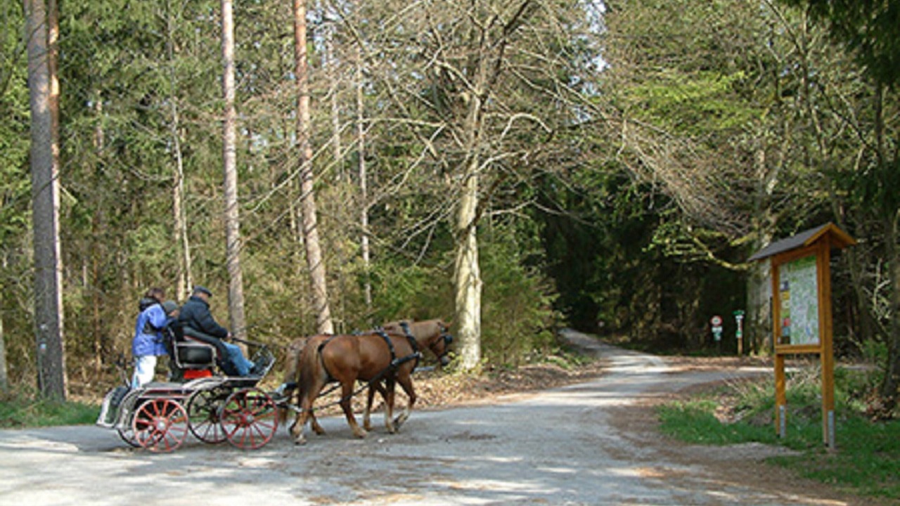 Photo of Others in Wolframs-Eschenbach