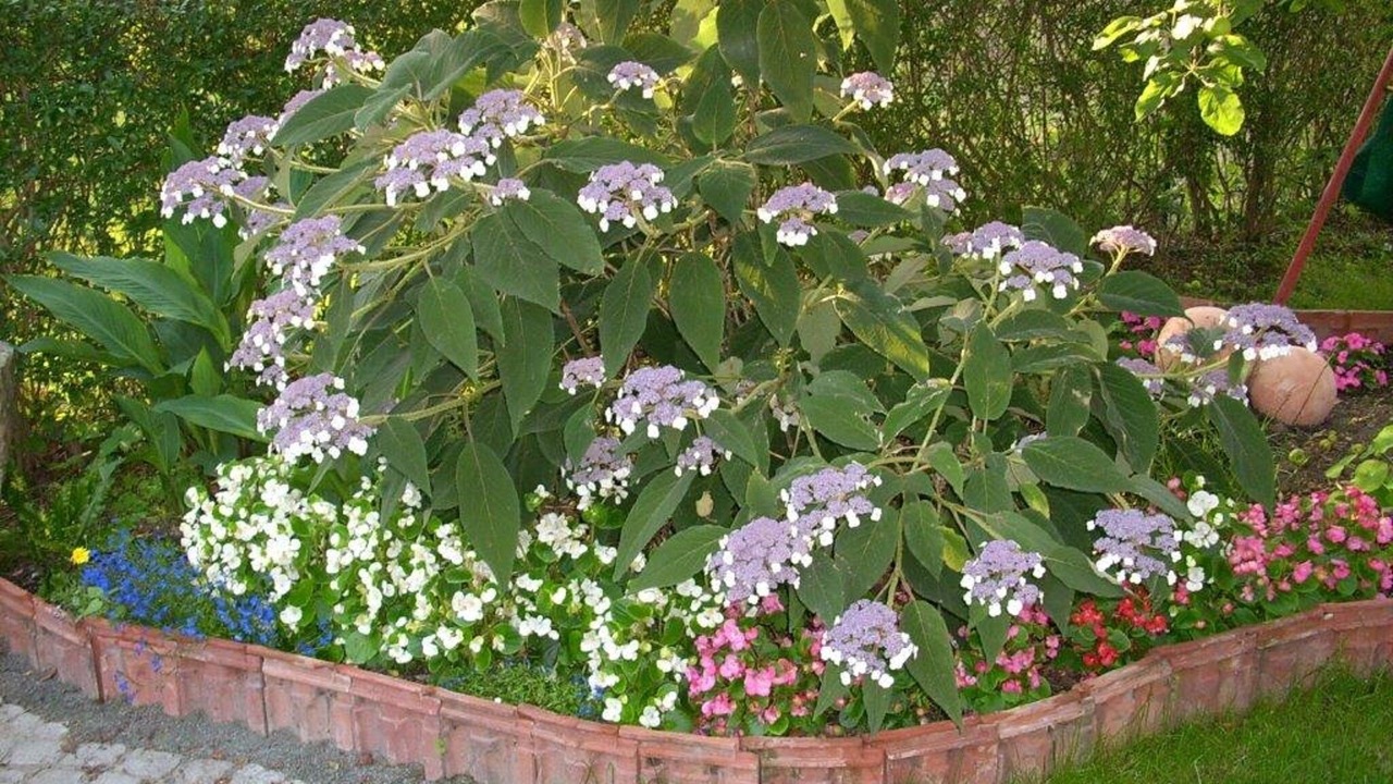 Photo of Outdoor in Zeyern