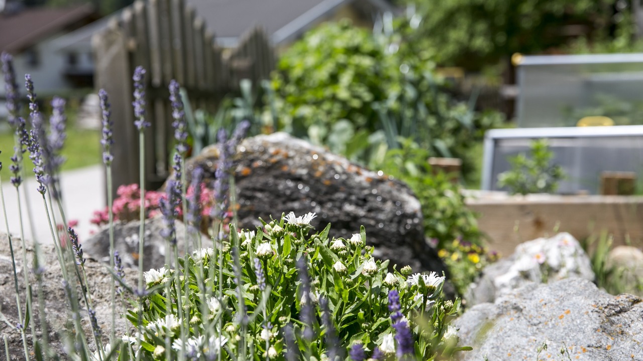 Photo of Outdoor in Neustift Im Stubaital