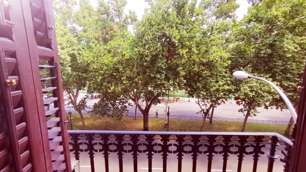 Photo of Outdoor in Golden Triangle of Art