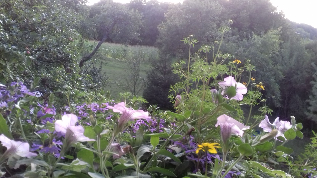 Photo of Outdoor in Kulmbach