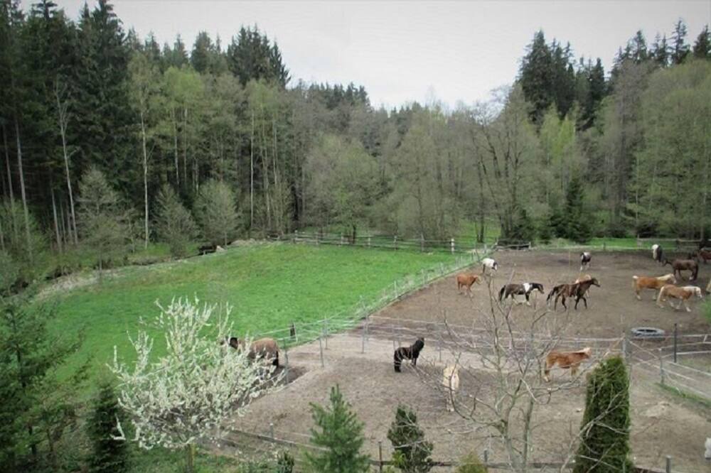 Photo of Others in Weissenstadt