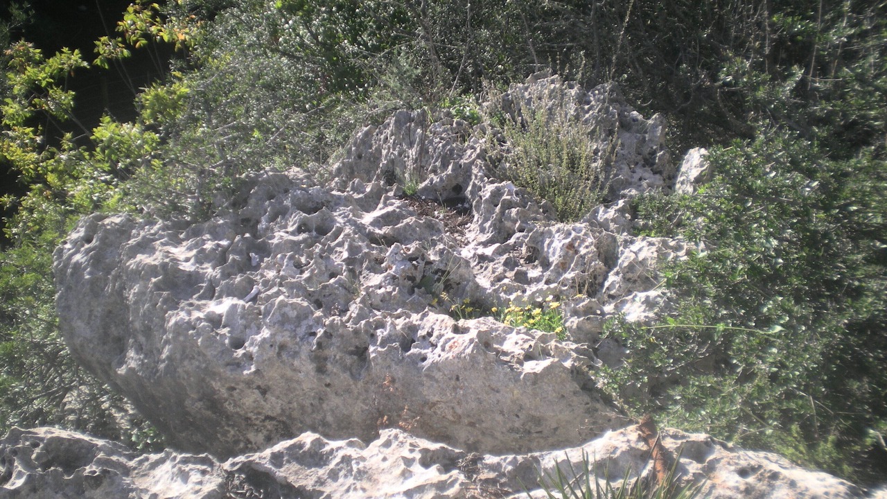 Photo of Outdoor in Hornachuelos
