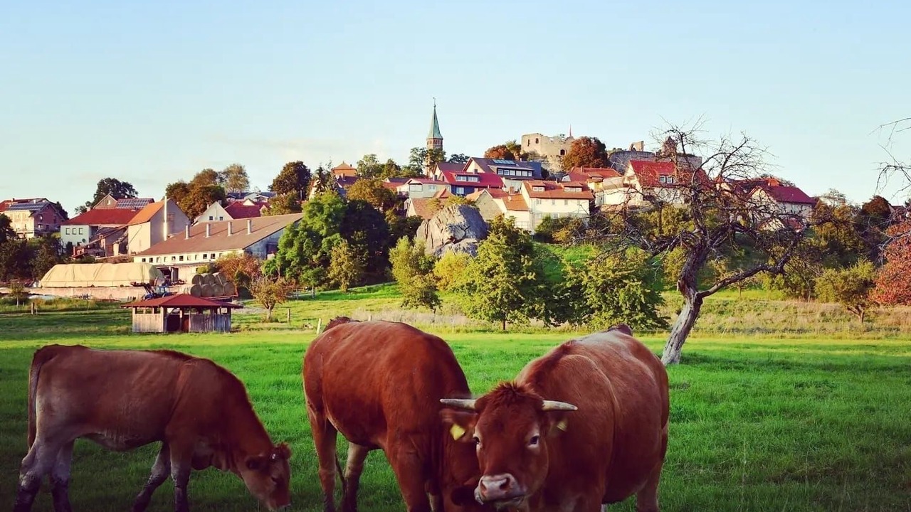 Photo of Outdoor in Altenstein