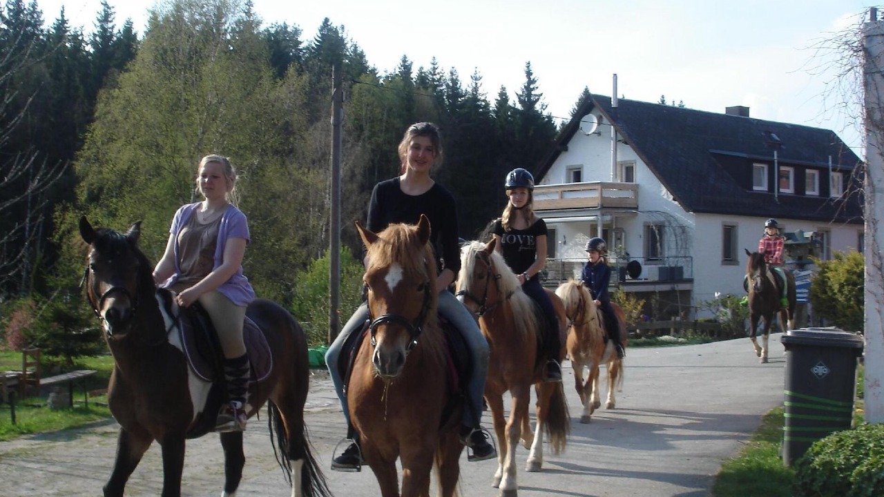 Photo of Outdoor in Weissenstadt