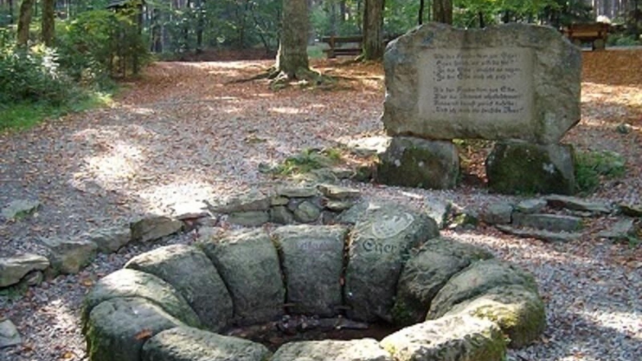Photo of Outdoor in Weissenstadt