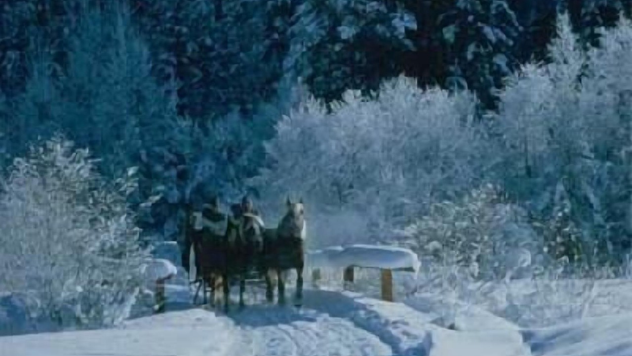 Photo of Outdoor in Imst