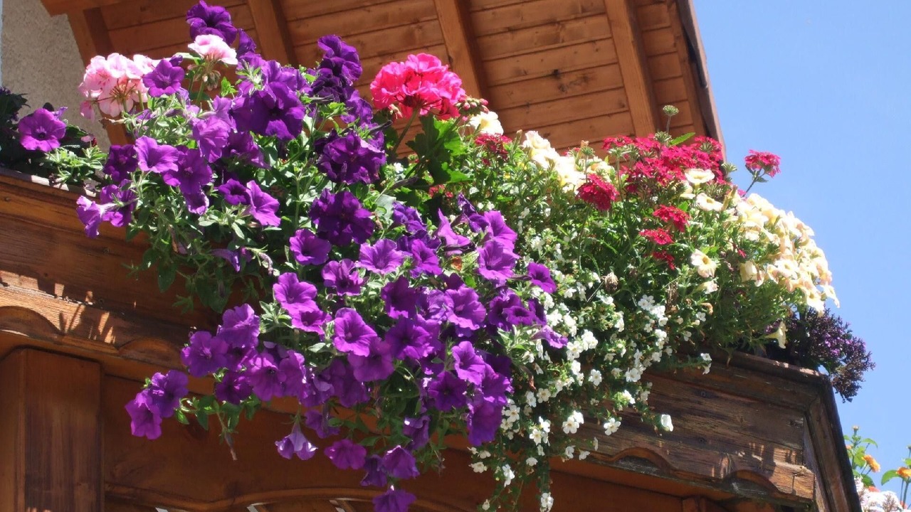 Photo of Outdoor in Imst
