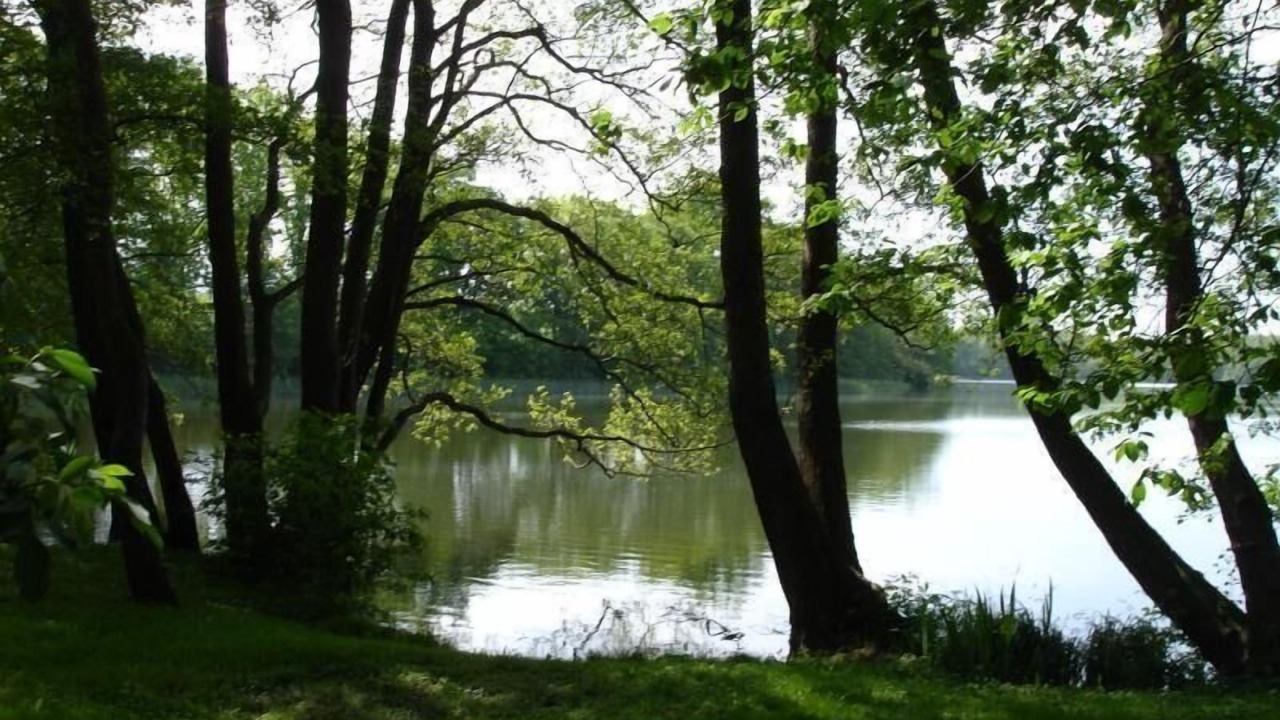 Photo of Outdoor in Godern