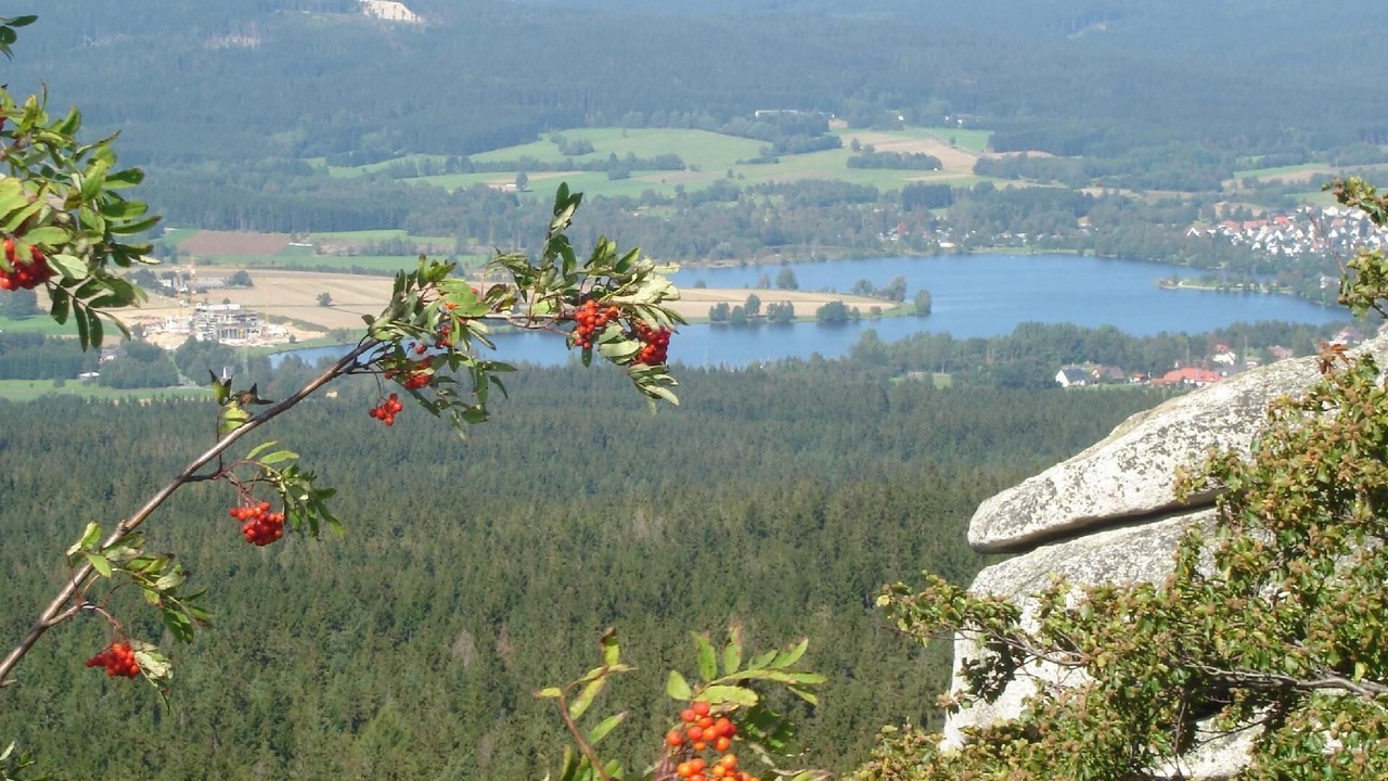 Photo of Others in Weissenstadt