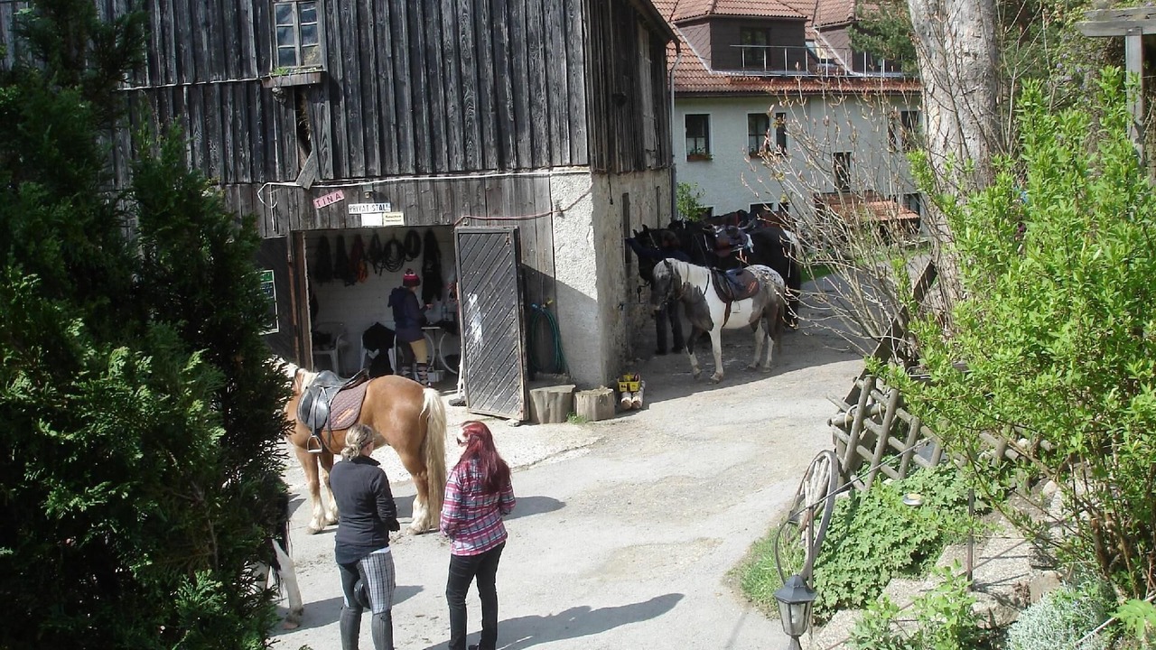 Photo of Outdoor in Weissenstadt