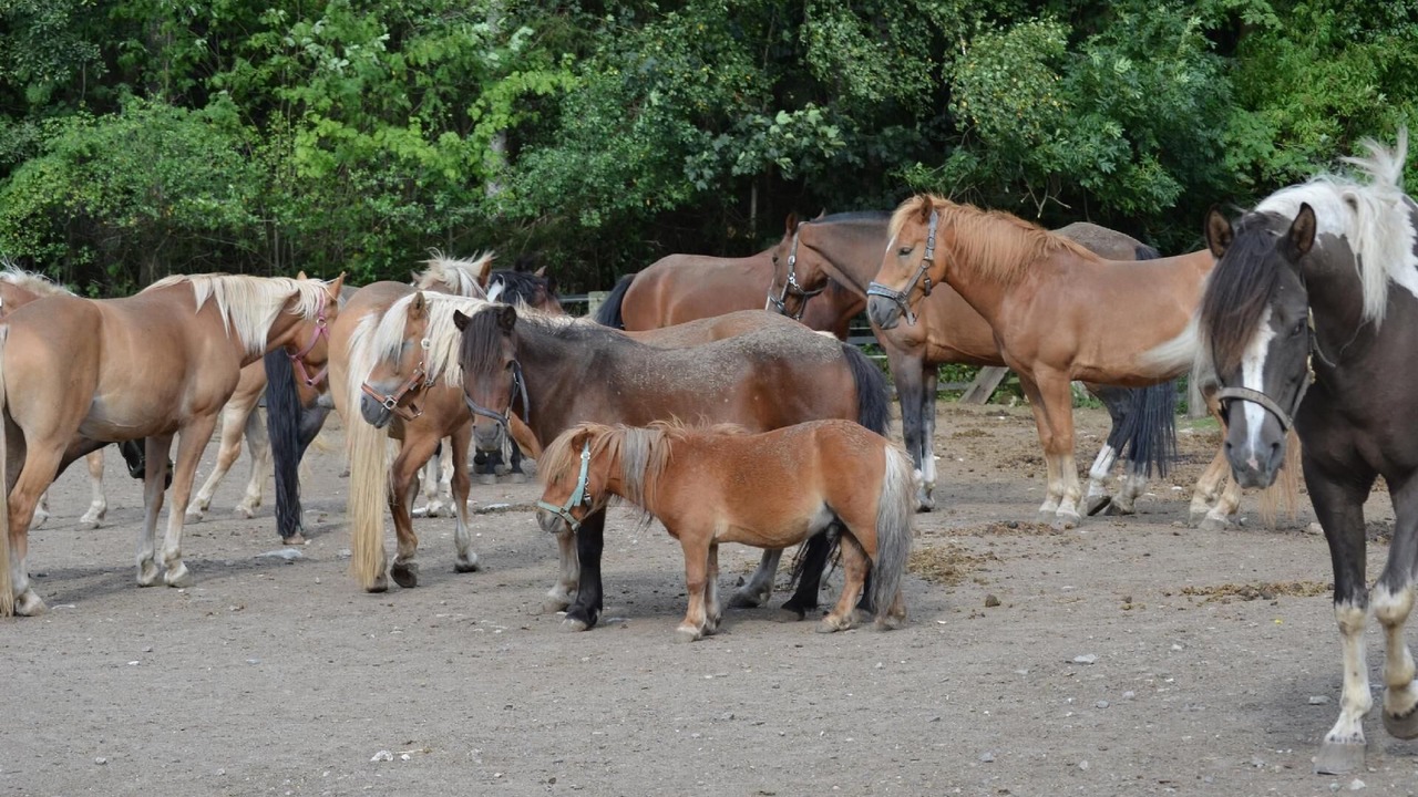 Photo of Others in Weissenstadt