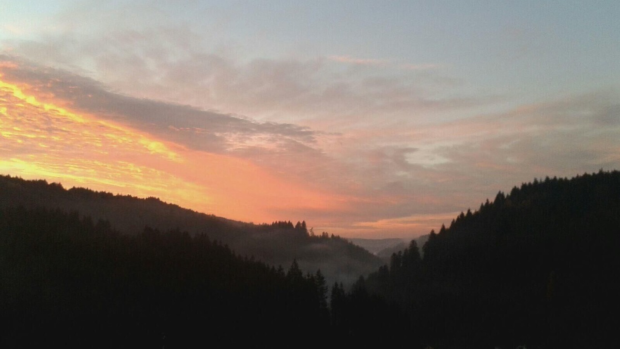 Photo of Others in Wilhelmsthal