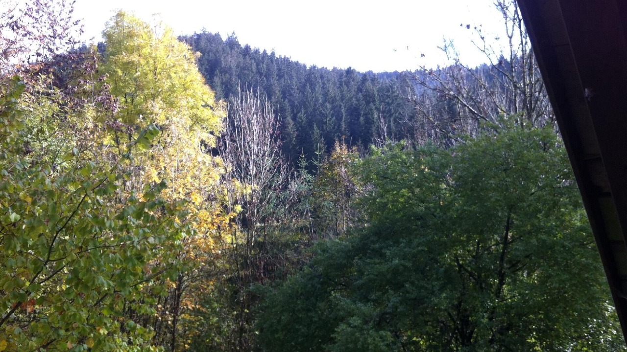 Photo of Others in Wilhelmsthal