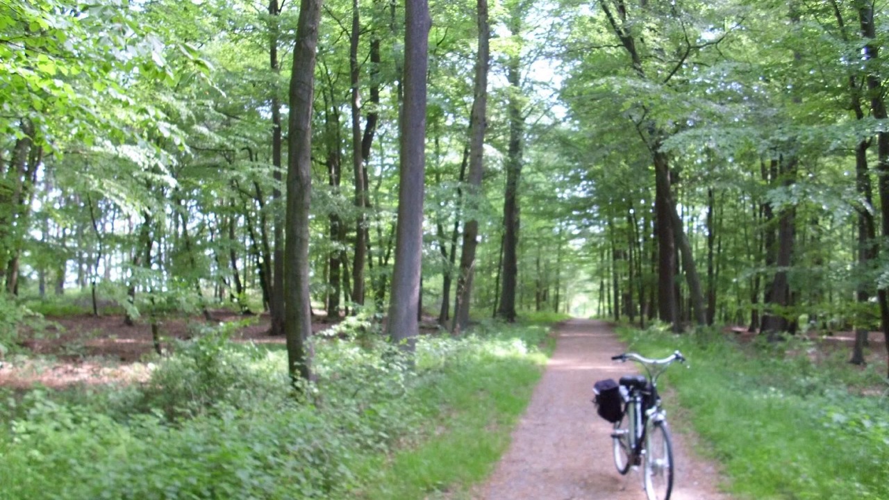 Photo of Outdoor in Raesfeld
