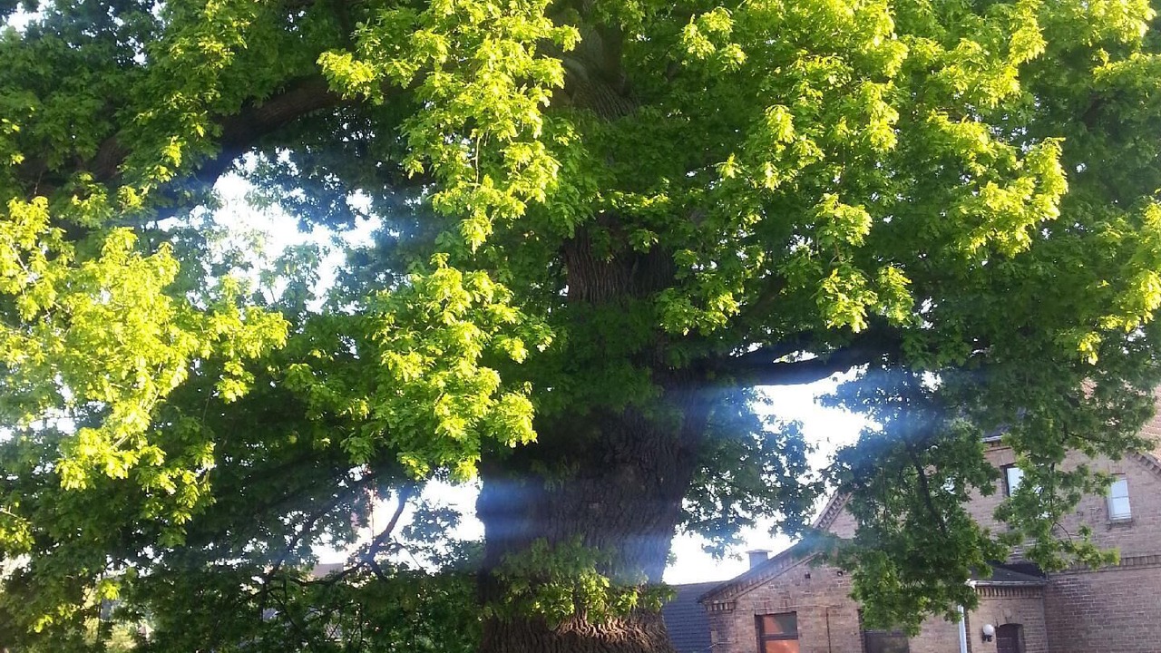 Photo of Outdoor in Redewisch